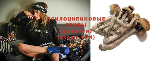 кристаллы Новокубанск