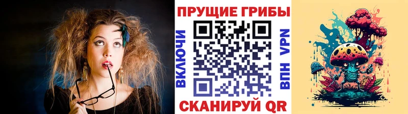где купить   Мыски  Псилоцибиновые грибы прущие грибы 